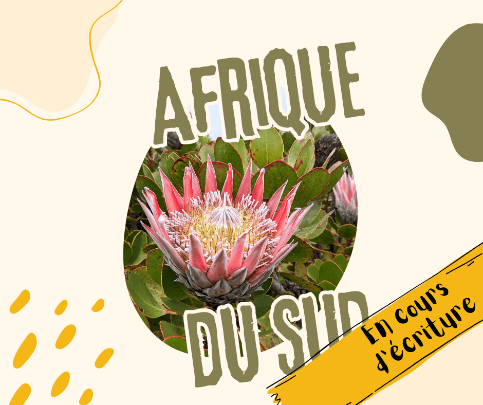 AFRIQUE du SUD